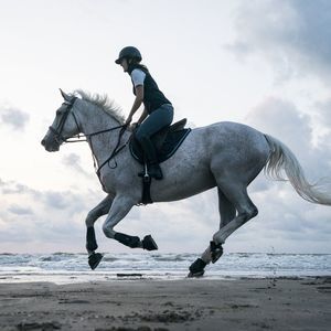 Meet your Posher, William